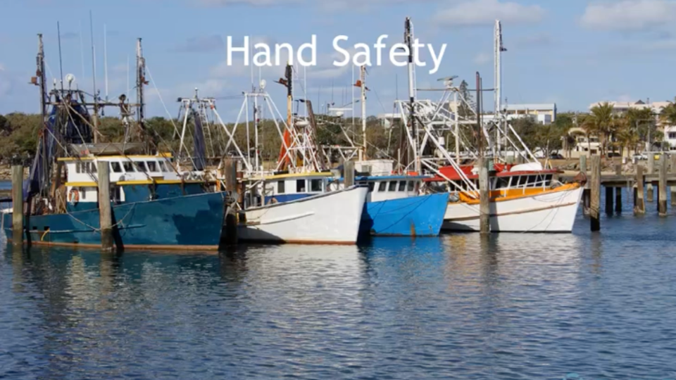 4.5 Hand Safety Module