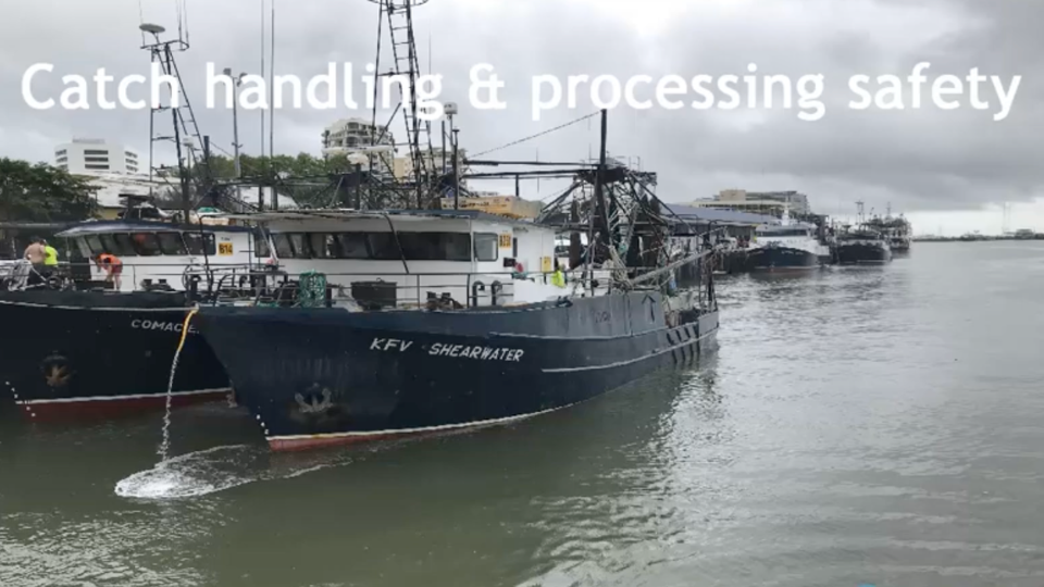 6.1 Catch Handling & Processing Safety