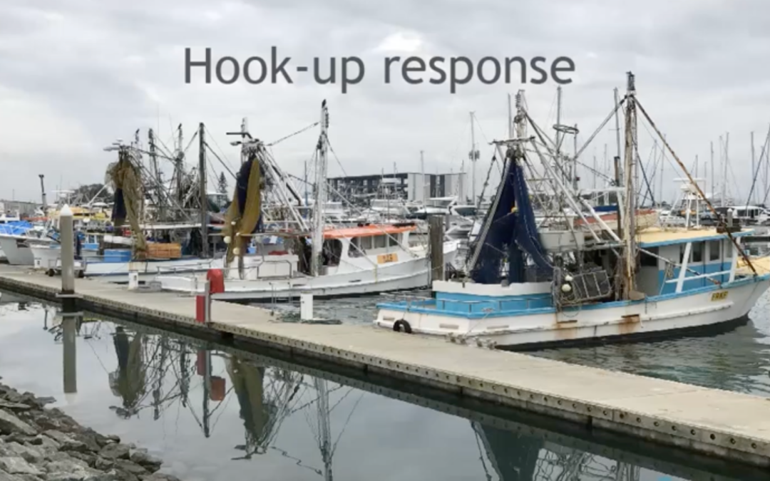 6.4 Hook Up Response